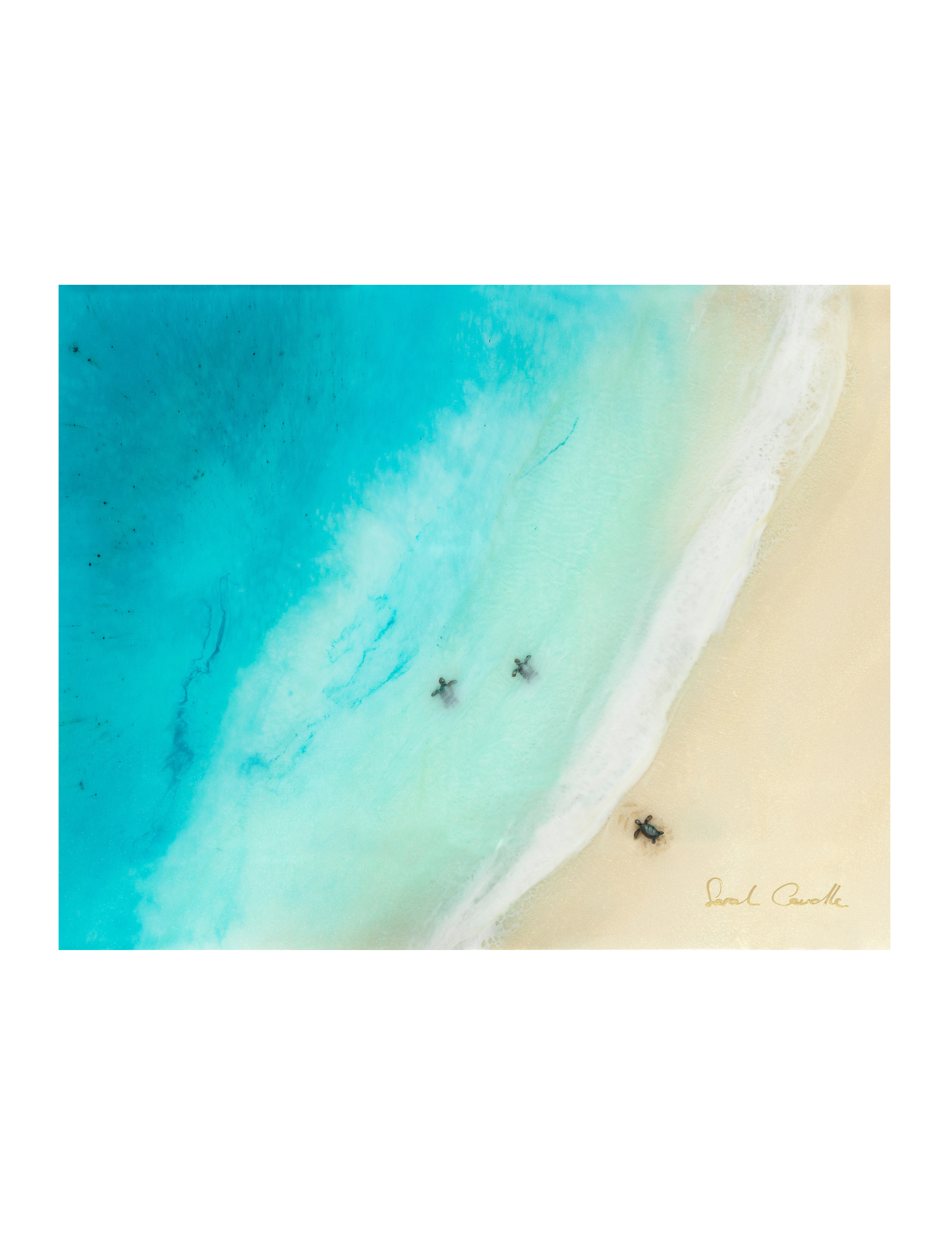 Sarah Caudle — Polu Gallery Sarah Caudle — Polu Gallery